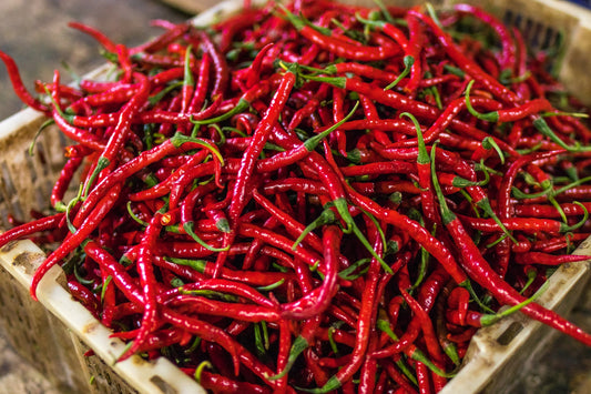 What is Capsaicin and What Does it Do?